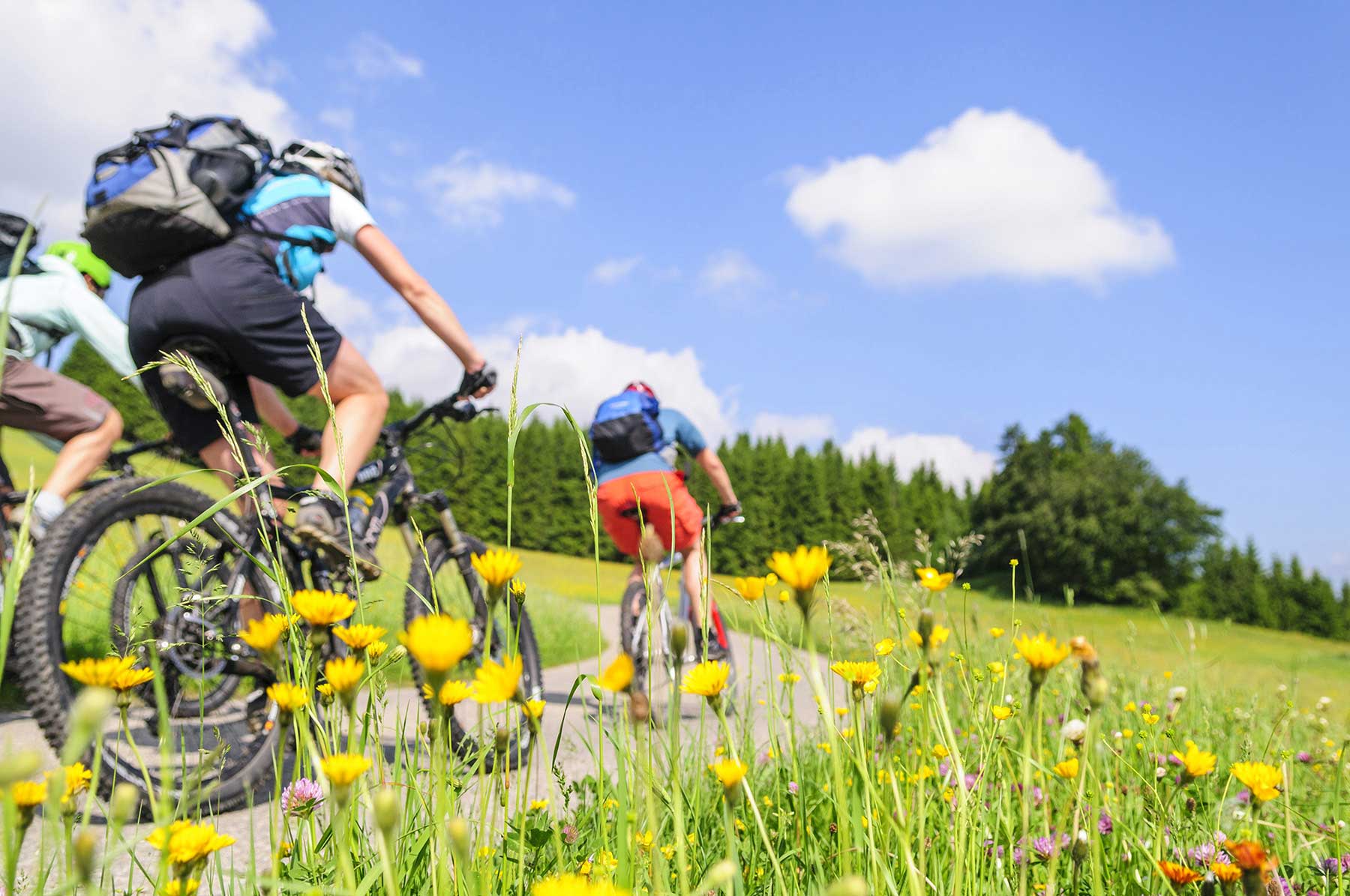 mountain vacation Les Saisies