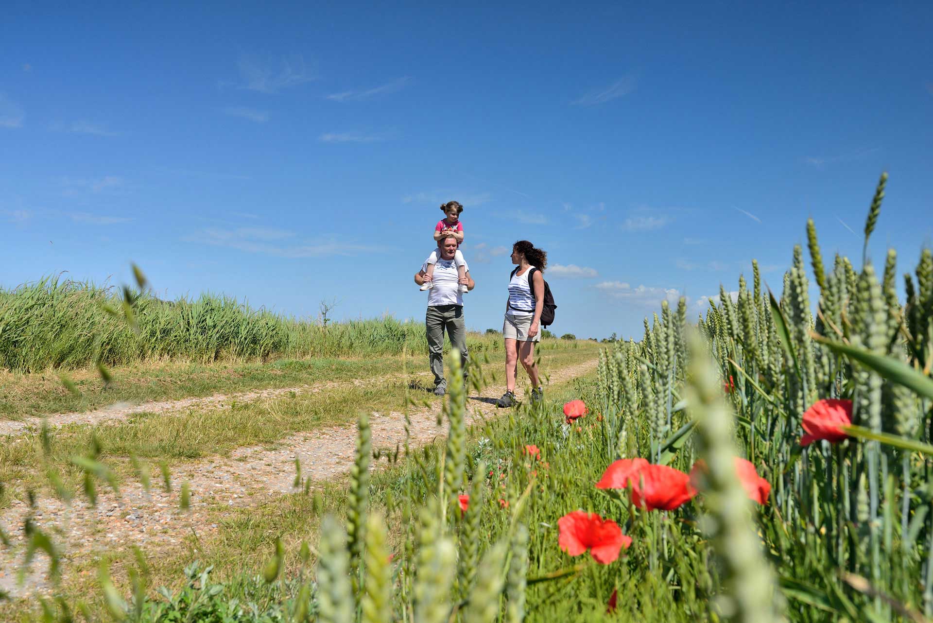 mountain vacation Puy-Saint-Vincent