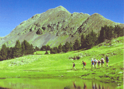 Pyrénées 2000