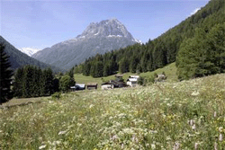 Vallorcine